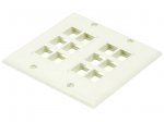 2-Gang Wall Plate for Keystone, 12 Hole - Ivory