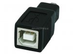 USB 2.0 B Female/Mini 4 pin (B4) Male Adapter