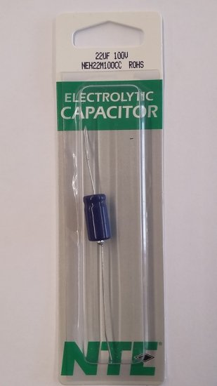 22uf 100V Axial Lead Electrolytic Capacitor