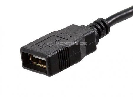 6Ft Black USB 2.0 A Male to A Female Ext. 28/24AWG Cable (Gold)