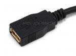 10Ft Black USB 2.0 A Male to A Female Ext. 28/24AWG Cable (Gold)