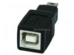 USB 2.0 B Female/Mini B5 Male Adapter