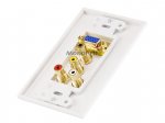 VGA, (3.5mm)1/8"Stereo, R+W RCA Decora Wall Plate (Gold Plated)